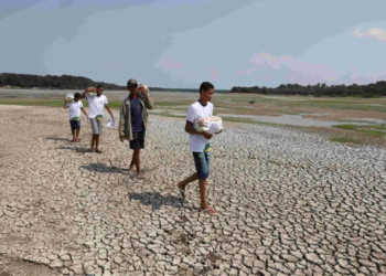 Seca histórica atinge todos os 62 municípios do Amazonas
