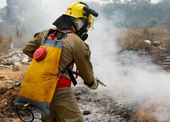 Queimadas Amazônia tem 2,5 milhões de hectares queimados em agosto