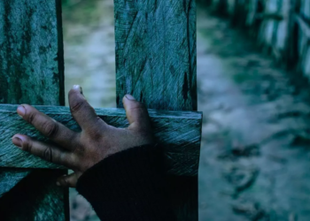 Festival Olhar do Norte anuncia filmes selecionados para a sexta edição