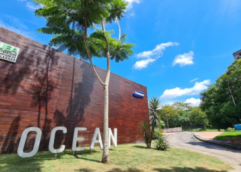 Samsung Ocean oferta 5 cursos gratuitos de Inteligência Artificial