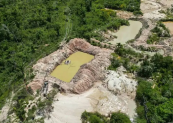 Facções criminosas avançam na Amazônia Legal, aponta estudo
