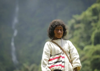 Opinião: Indígenas devem influenciar planos climáticos
