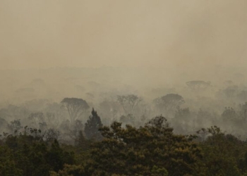 Força Nacional do SUS apoia atendimentos no Amazonas após incêndios