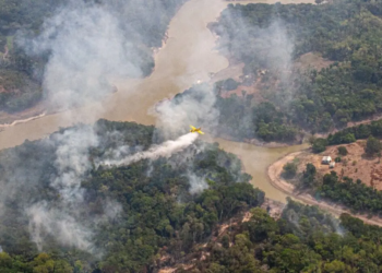 Justiça converte em preventiva prisão de homem acusado de provocar incêndios no AM