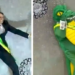 Rosas de Ouro faz Bolsonaro tomar vacina e virar jacaré durante o desfile
