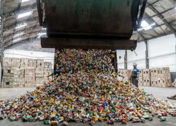 Brasil recicla 98,7% das latas de alumínio do país e obtém o melhor índice da história, revela pesquisa