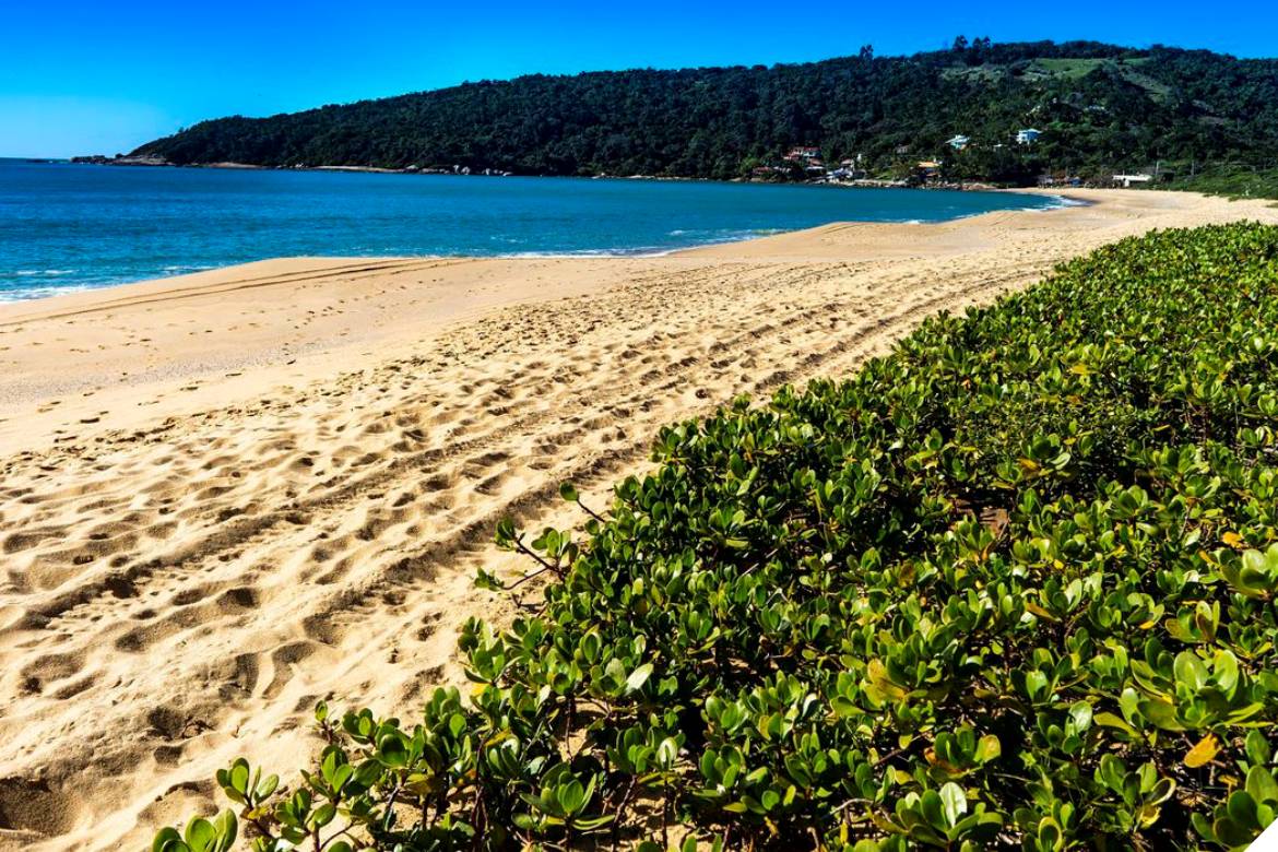 Número de praias e marinas premiadas no Bandeira Azul pode aumentar no Brasil