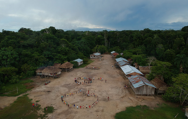 Vale do Javari teve multa recorde por pesca ilegal de pirarucu no Amazonas