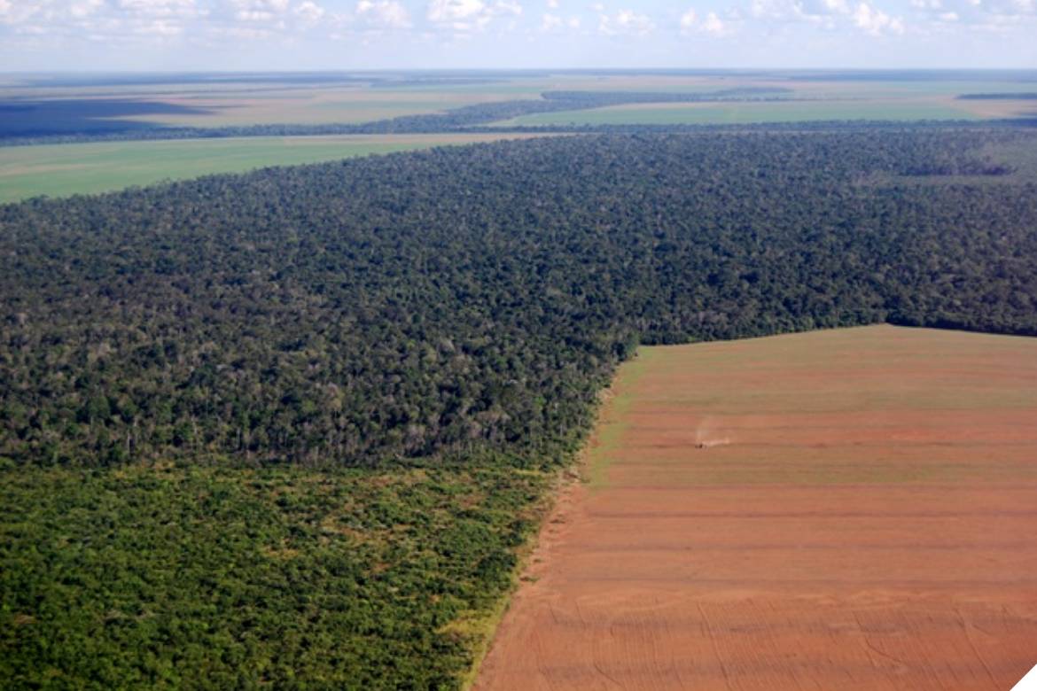 Senador denuncia compra maquiada de terras na Amazônia por estrangeiros