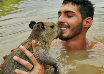 Jovem Amazonense viraliza na internet após postar amizade com capivara, em Autazes