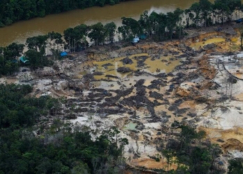 Desmatamento por garimpo em território yanomami cresceu 25% em 2022