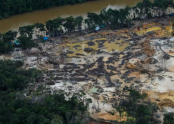 Desmatamento por garimpo em território yanomami cresceu 25% em 2022