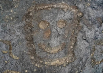 Gravuras de sítio arqueológico são vistas durante seca em Manaus