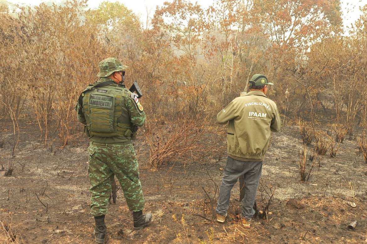 MPF pede que Governo do Amazonas detalhe ações de combate a incêndios