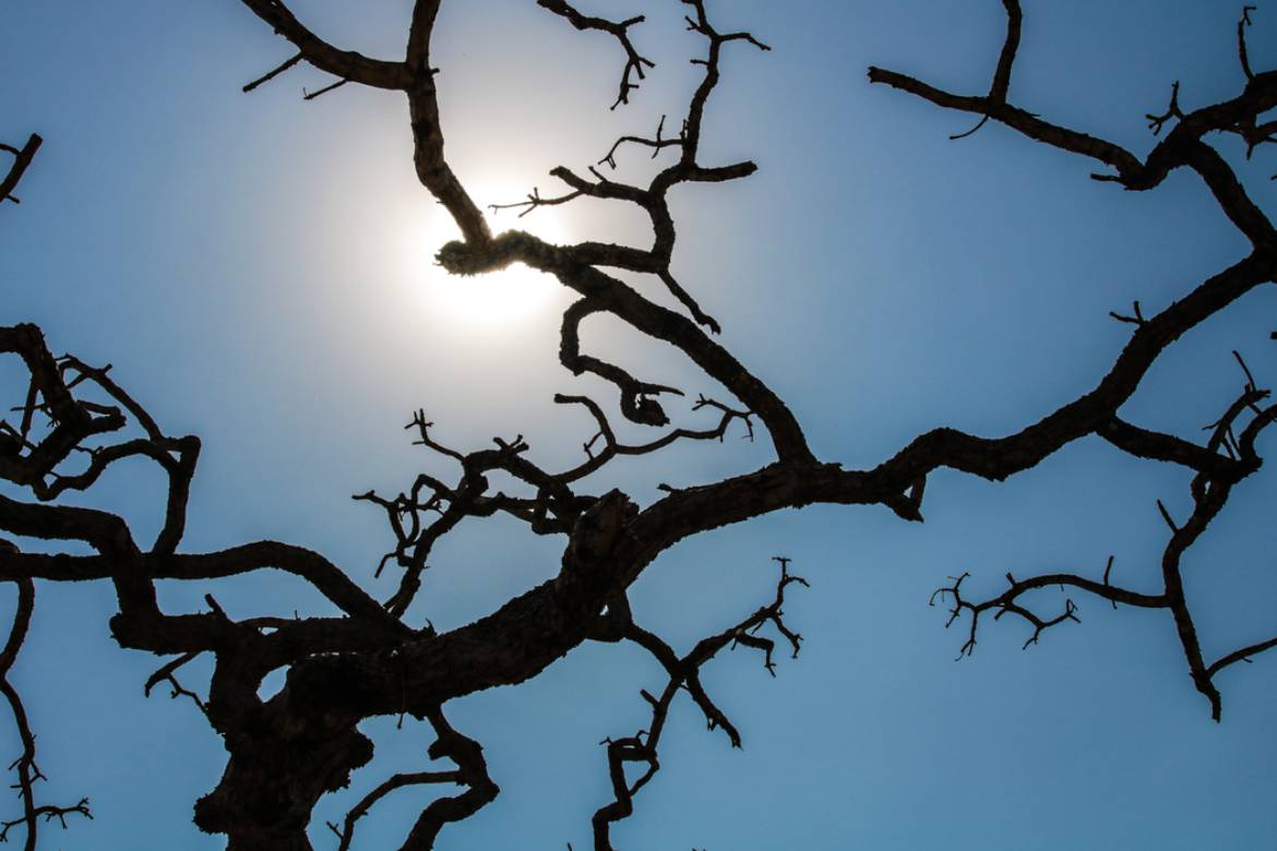 Brasil registra recorde da temperatura média pelo quarto mês seguido