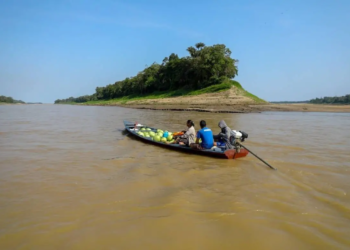 Cinco calhas de rios começam a encher e outras quatro no final de seca, no Amazonas