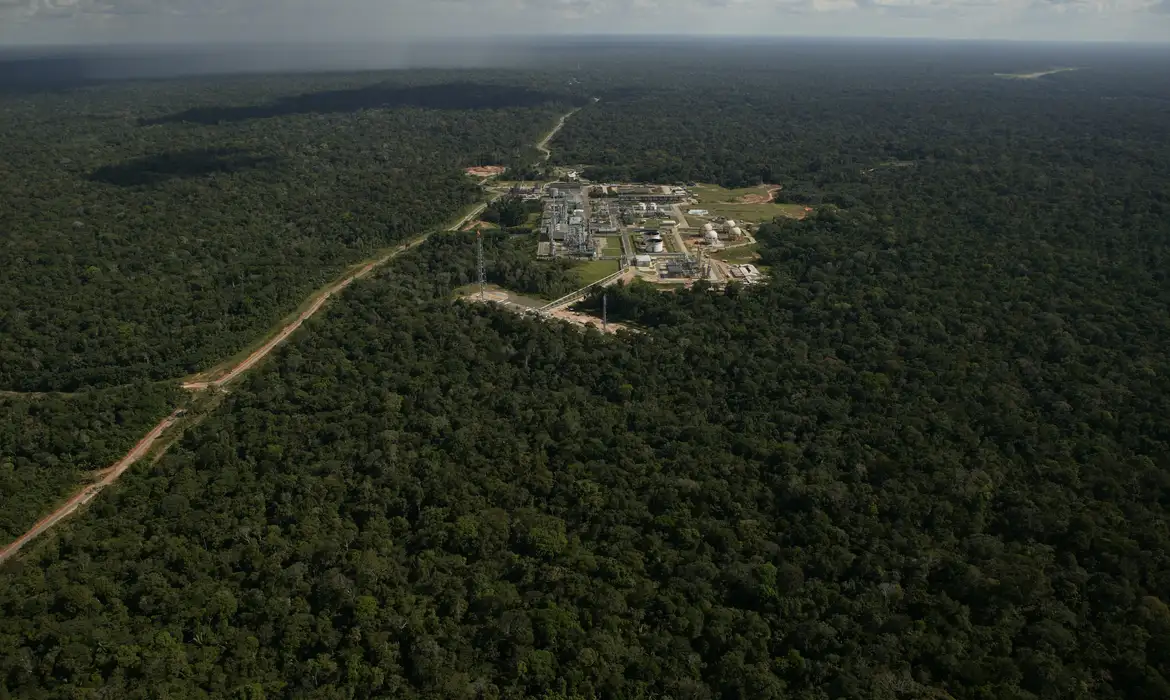 URUCU MUDAS As práticas de recomposição ambiental incluem o plantio de diversas espécies nativas. (Foto: Agência Petrobras/Geraldo Falcão)