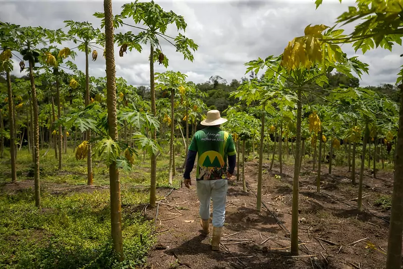 População rural: inadimplência no Norte se manteve estável no 1º trimestre de 2024