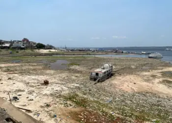 Seca se intensifica no Amazonas entre maio e junho