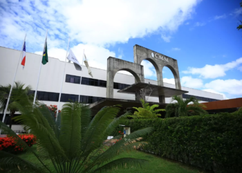 Quadros, cabeça de gado, lancha e mais: bens 'inusitados' de candidatos a vereador em Manaus. Em Manaus, 824 candidatos disputam vaga para a Câmara Municipal de Manaus (Foto: Divulgação/CMM)