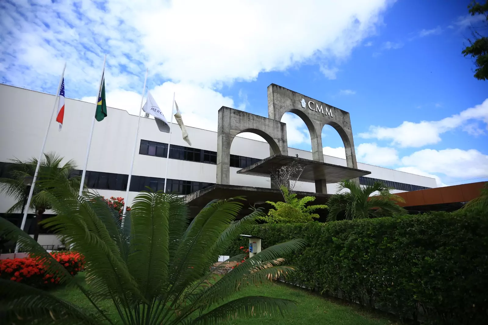 Quadros, cabeça de gado, lancha e mais: bens 'inusitados' de candidatos a vereador em Manaus. Em Manaus, 824 candidatos disputam vaga para a Câmara Municipal de Manaus (Foto: Divulgação/CMM)