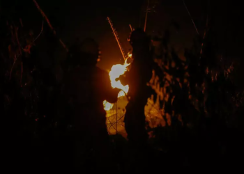 Brasil teve 11,39 milhões de hectares atingidos pelo fogo este ano. Fotos: Mauro Neto /Secom