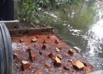 Mais de 1,5 milhão de moradores ficaram sem acesso à coleta de esgoto em 2022 em Manaus