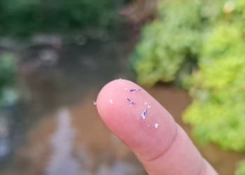 Microplástico próximo de igarapé em Manaus. Foto: Ana Kelly Franco