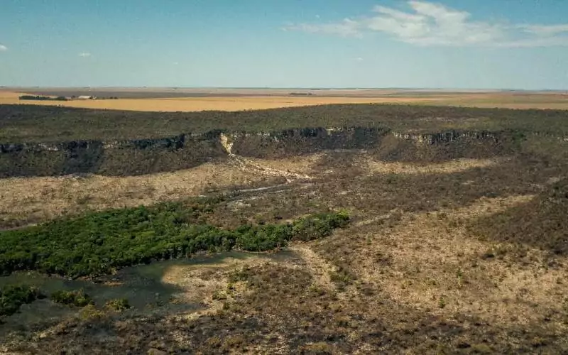 Após cinco anos de aumento, desmatamento no Cerrado tem queda