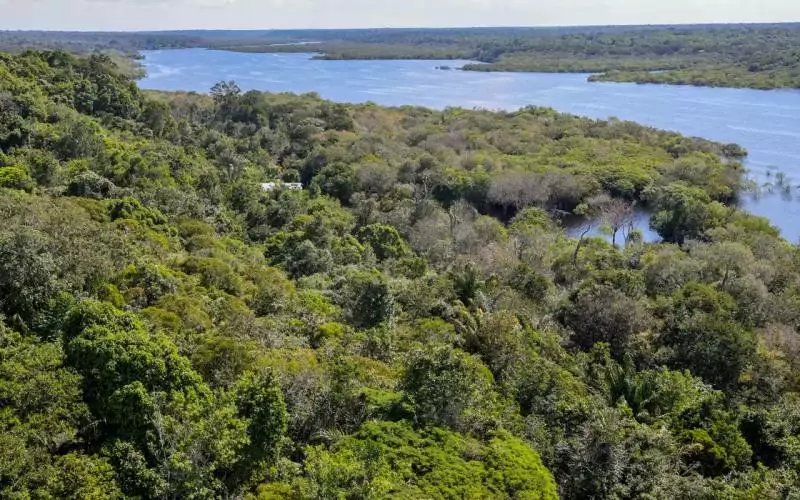 Desmatamento na Amazônia cai 30,6% em um ano