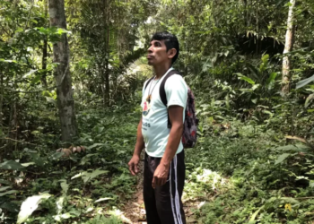 Lideranças indígenas e ativistas debatem em Manaus futuro da Amazônia