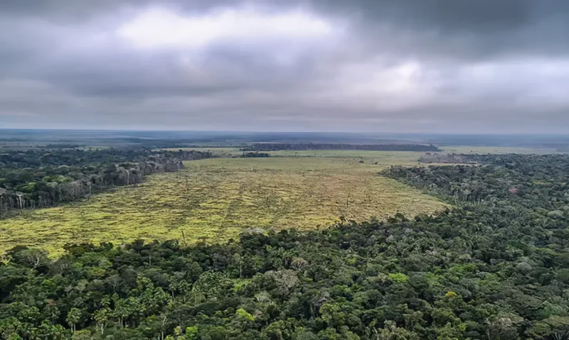 Dino dá prazo de 60 dias para Amazônia e Pantanal aderirem ao Sinaflor