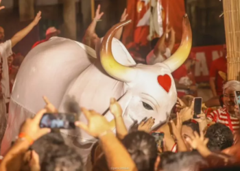 Boi Garantido inicia temporada bovina e apoia a revitalização do centro histórico de Manaus