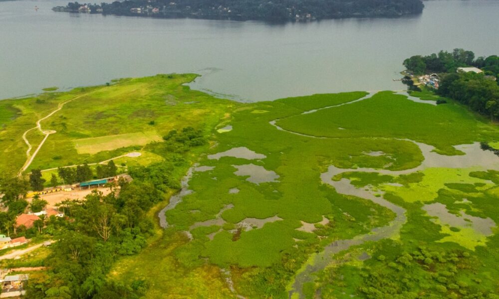 Parque na orla da represa Guarapiranga tem 261 espécies de aves