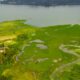 Parque na orla da represa Guarapiranga tem 261 espécies de aves