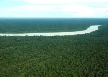 Apoiado pelo Governo do Amazonas, seminário sobre a Emergência Climática na Amazônia começa nesta quarta-feira