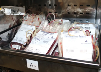 Doação de sangue. Foto: Divulgação/FCecon