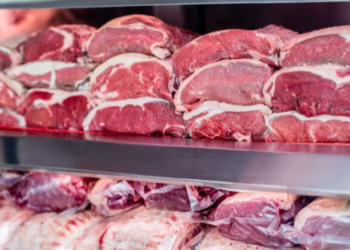 Em um ano, abate bovino tem aumento de mais de 30 mil cabeças no AM