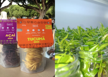Macarrão amazônico com sabores de tucumã e açaí e desenvolvimento de técnica para ampliar produção de mudas de bananas. Foto: Divulgação