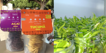 Macarrão amazônico com sabores de tucumã e açaí e desenvolvimento de técnica para ampliar produção de mudas de bananas. Foto: Divulgação