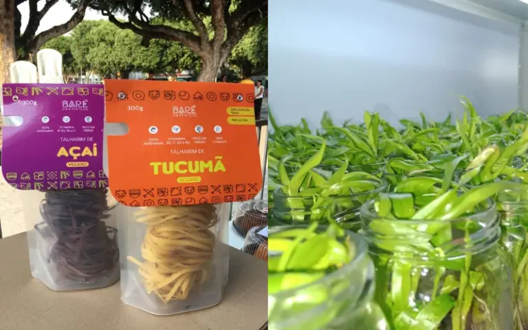 Macarrão amazônico com sabores de tucumã e açaí e desenvolvimento de técnica para ampliar produção de mudas de bananas. Foto: Divulgação