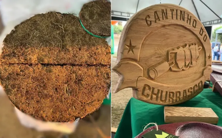 Empreendedorismo sustentável sustentável em Itacoatiara. Foto: Manoa Bio e Coroa Bio