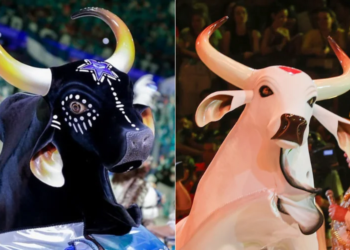 Ilha Tupinambarana celebra os bois Caprichoso e Garantido em três dias de festival. Foto: . Foto: Alex Pazuello/Secom e Foto: Mauro Neto/Secom