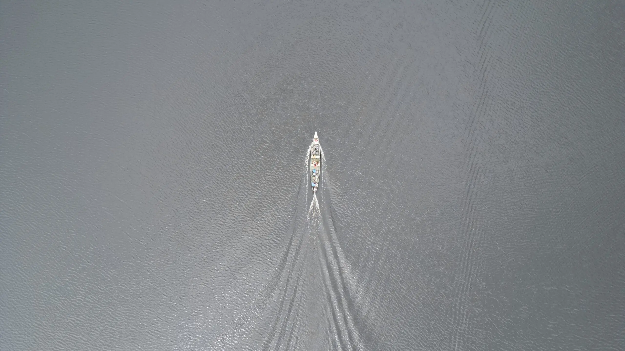 As barragens interromperam o fluxo natural do Madeira, mudando as correntes necessárias para a reprodução dos peixes, provocando uma redução de até 90% nos estoques em alguns locais. Foto: Kelvily Santos de Souza para a Mongabay.