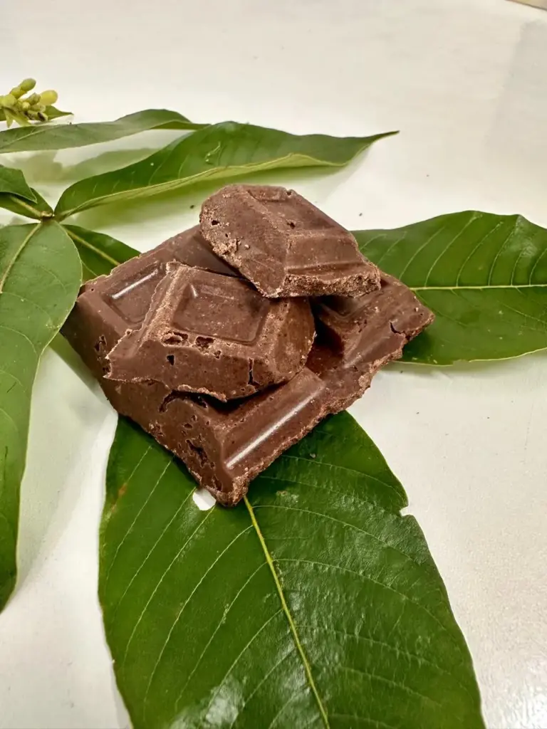 Chocolate feito da semente de Ingá. Foto: arquivo pessoal de Márcia Nascimento e Francisco Silva cedido a Agência Jamaxí