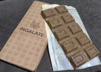 Chocolate feito da semente de Ingá. Foto: arquivo pessoal de Márcia Nascimento e Francisco Silva cedido a Agência Jamaxí