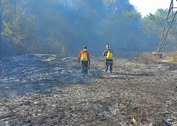Tribunal de Contas determina prazo para prefeitura de Nhamundá e Bombeiros comprovarem acordo de combate a incêndio