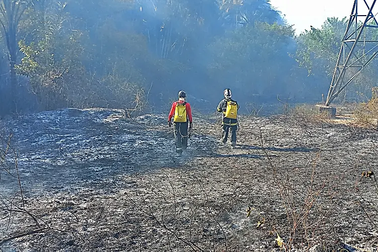 Tribunal de Contas determina prazo para prefeitura de Nhamundá e Bombeiros comprovarem acordo de combate a incêndio