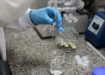 Doença de Newcastle: protocolos sanitários são cumpridos em SC
