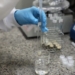 Doença de Newcastle: protocolos sanitários são cumpridos em SC